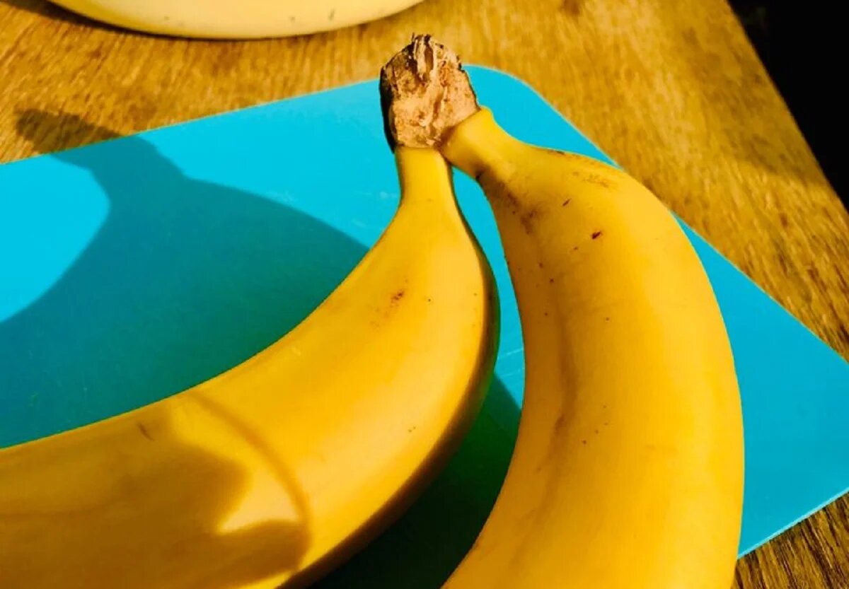 Фото: UfacityNews.ru