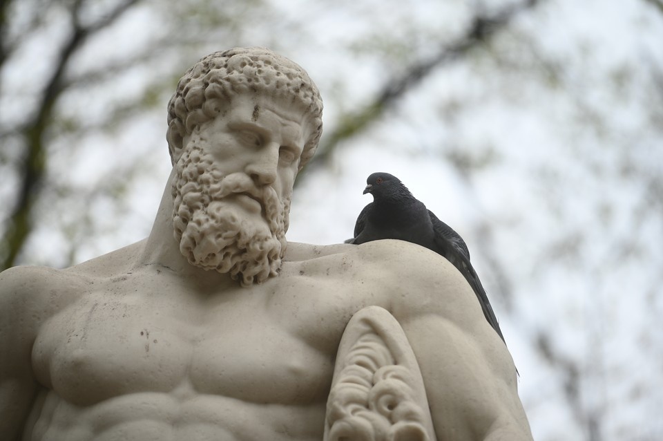    В Заксобрании Петербурга решились взяться за голубей и их привычку "портить" памятники. Алексей БУЛАТОВ