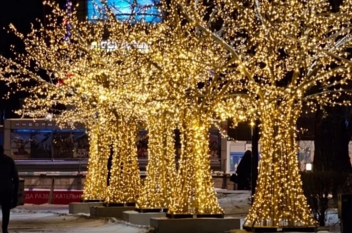    В Красноярске включили праздничную подсветку на деревьях