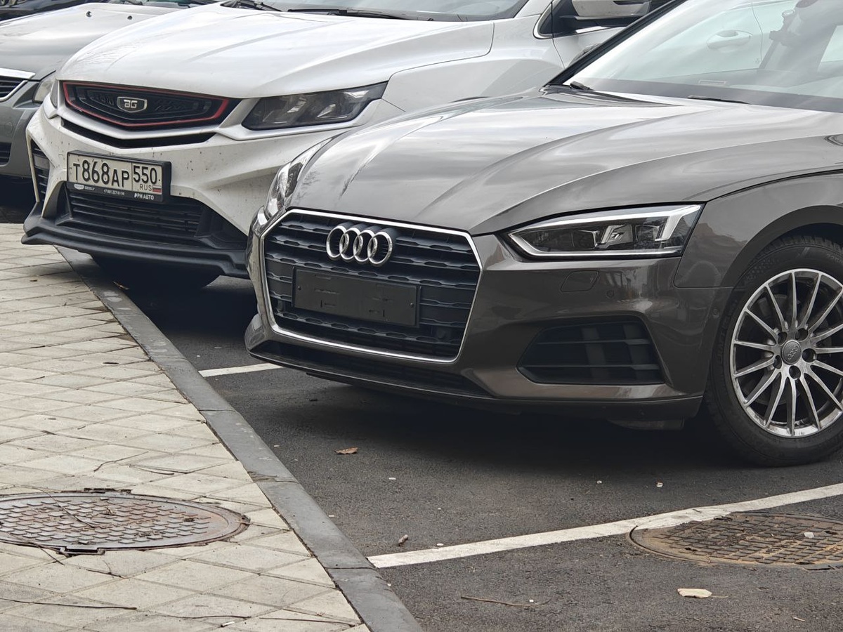    Фото: Юрий Серебренников/BFM Кубань