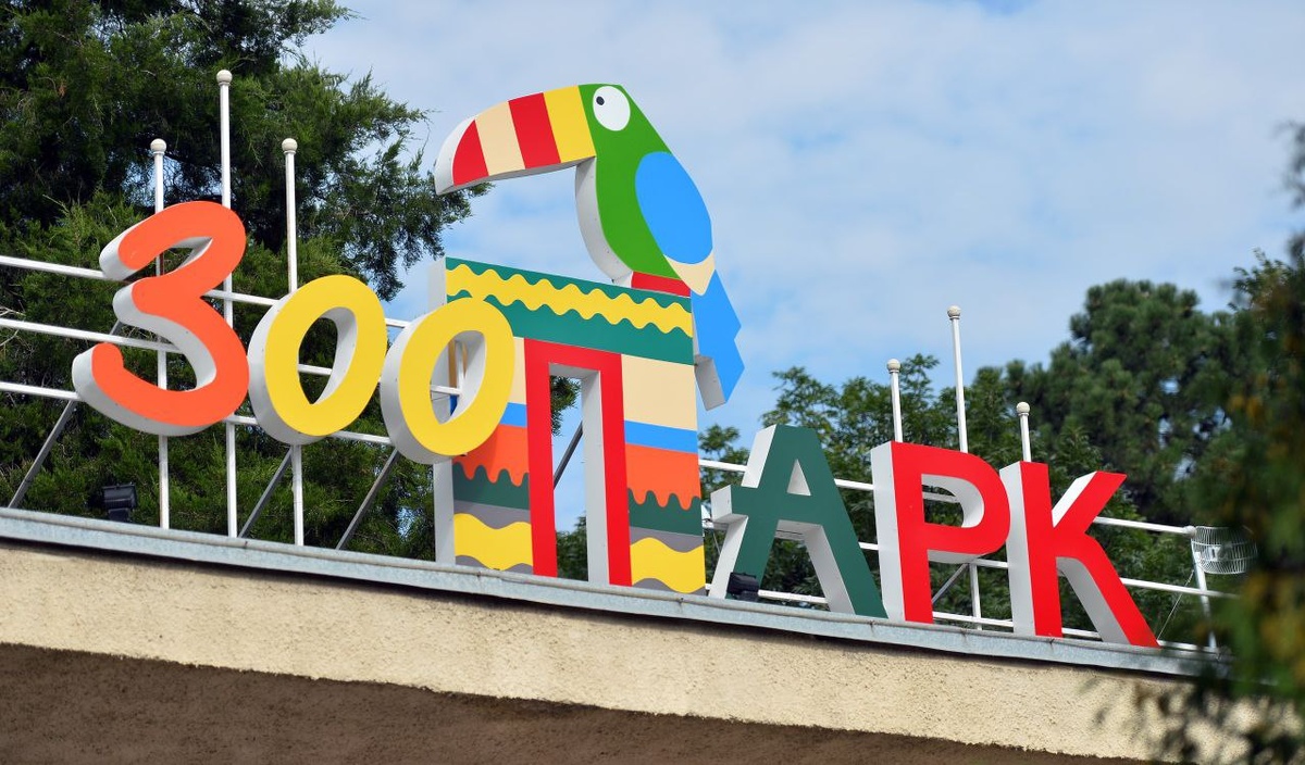 Зоологическая ул., 3, Ростов-на-Дону