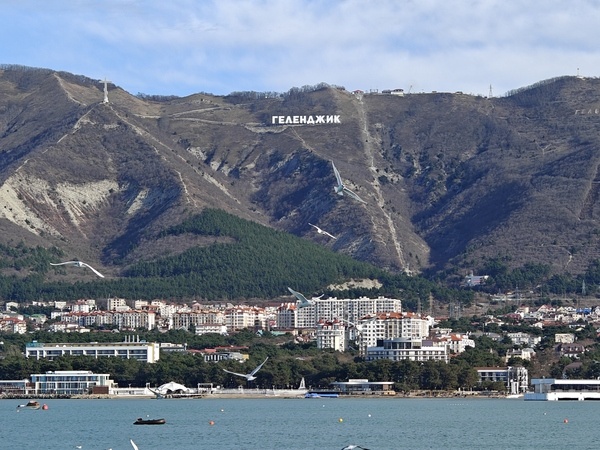    Фото: Юрий Серебренников/BFM Кубань