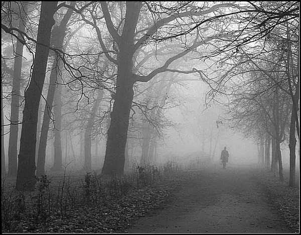 Пасмурный осенний день источник яндэкс картинки