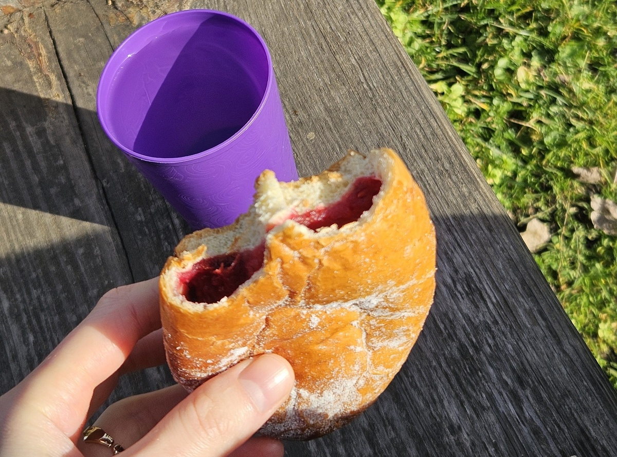 Булочки покупали по дороге, ждала момента, когда смогу поесть ее с чем-нибудь горячим (налила кипяток вместо чая)