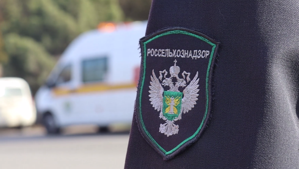    Фото: пресс-служба АЧМУ Россельхознадзора