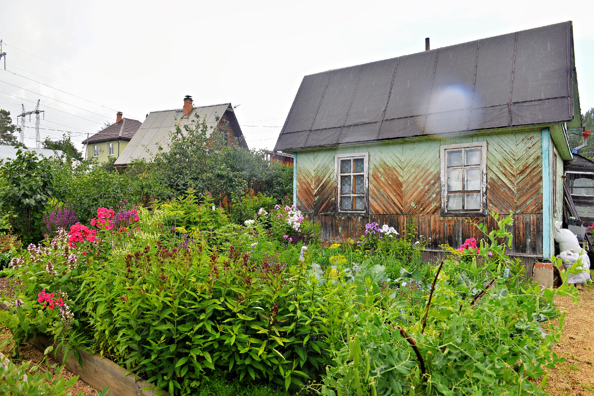 Фото: Союз садоводов Екатеринбурга и Свердловской области.