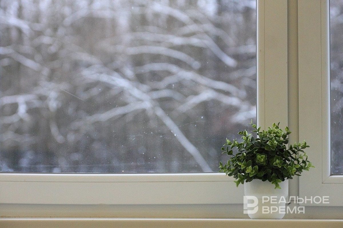   Михаил Захаров / realnoevremya.ru