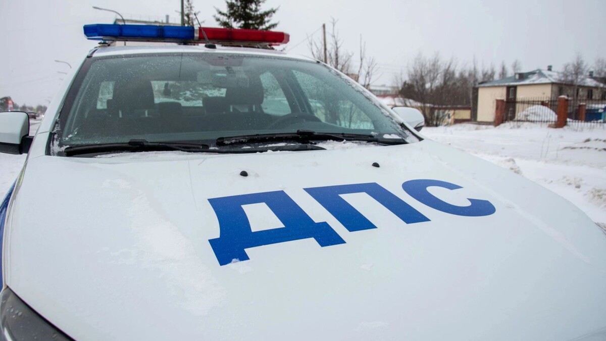    Фото: Юрий Здебский/«Ямал-Медиа»