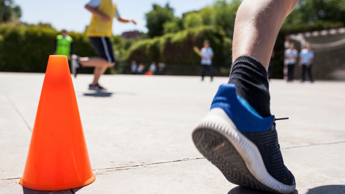    Фото: David Fuentes Prieto/Shutterstock/Fotodom