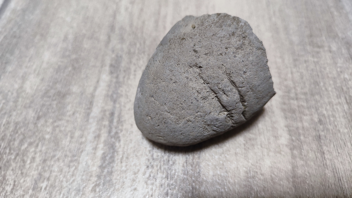 На фото наши коллекционные образцы, собранные в ходе экспедиции