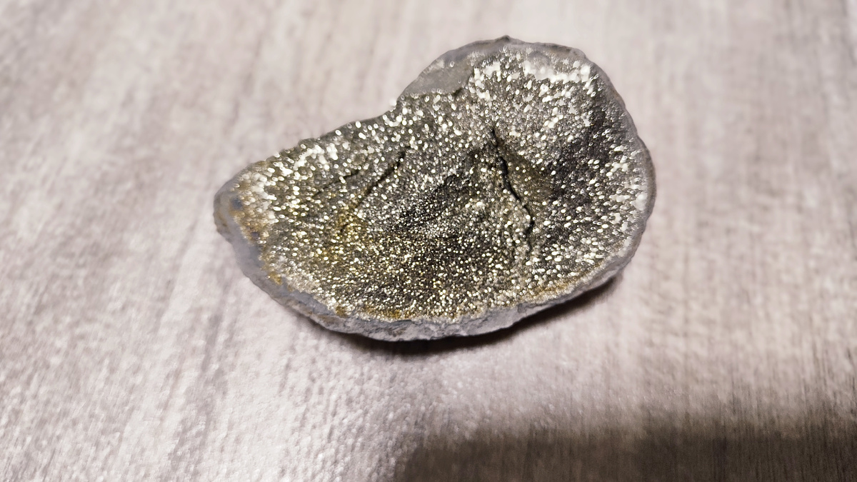 На фото наши коллекционные образцы, собранные в ходе экспедиции