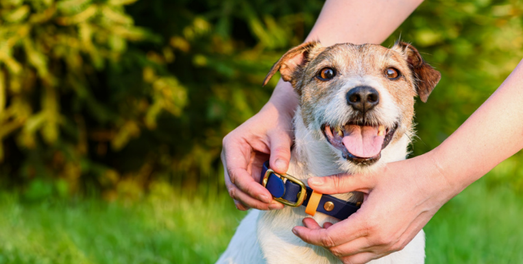 Новое имя — как чистый паспорт