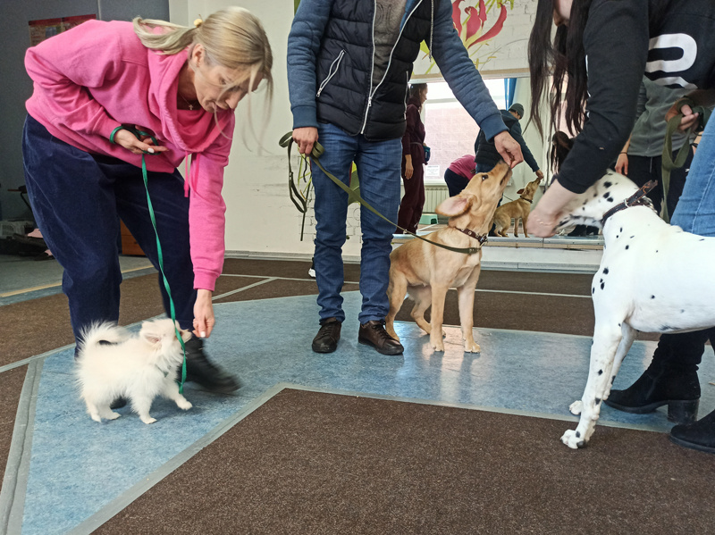 🐕 Начальное послушание 🐕 курс (группа)