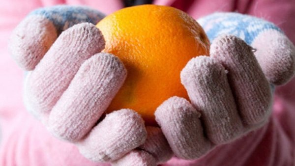  Как я борюсь с зимним авитаминозом: мои простые правила в питании и режиме