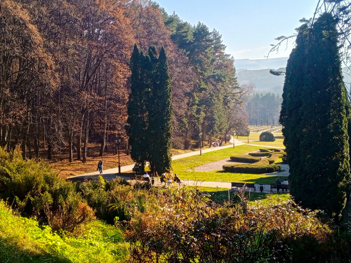 Фото автора.