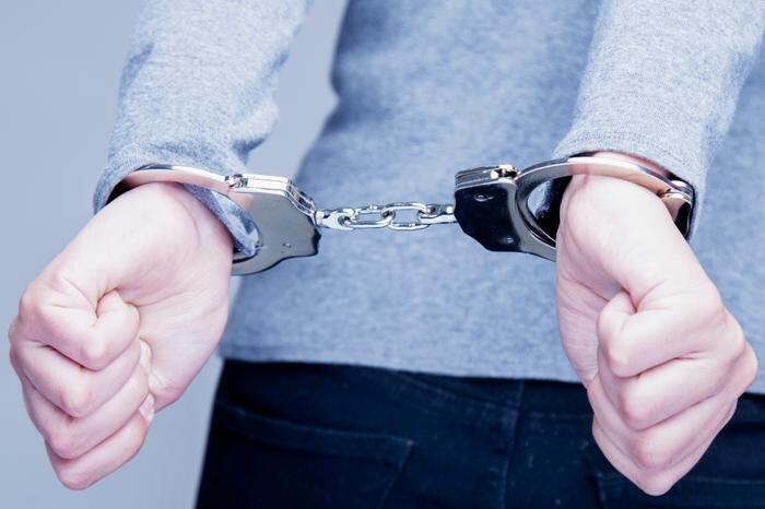 Обложка © Shutterstock / FOTODOM/ Zwiebackesser