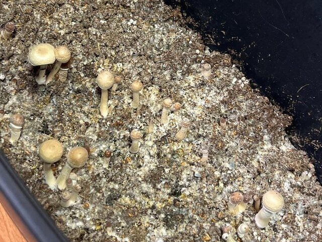    Фото: телеграм-канал "Прокуратура Владимирской области"