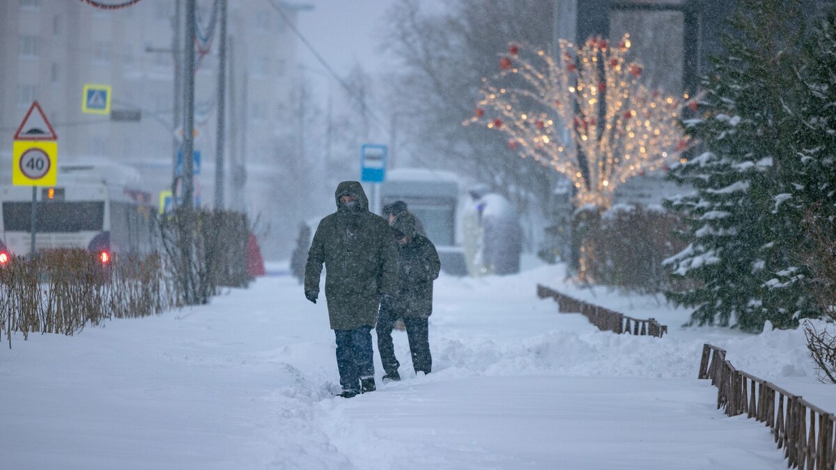    Фото: Сергей Зубков / «Ямал-Медиа»