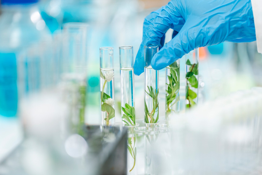 Фото: Chokniti-Studio/FOTODOM/Shutterstoсk