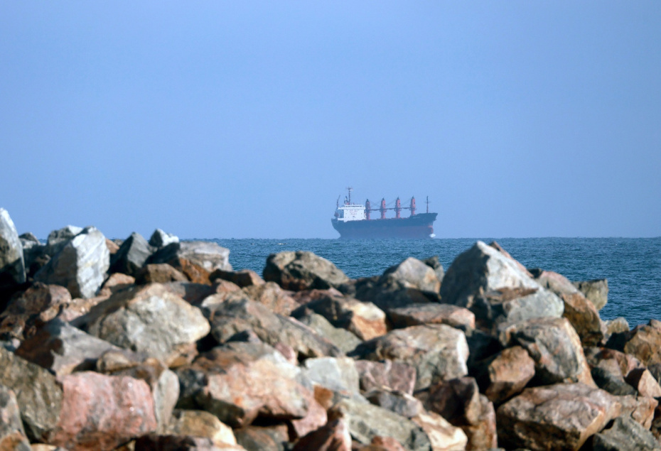    Nina Liashonok/Keystone Press Agency/Global Look Press