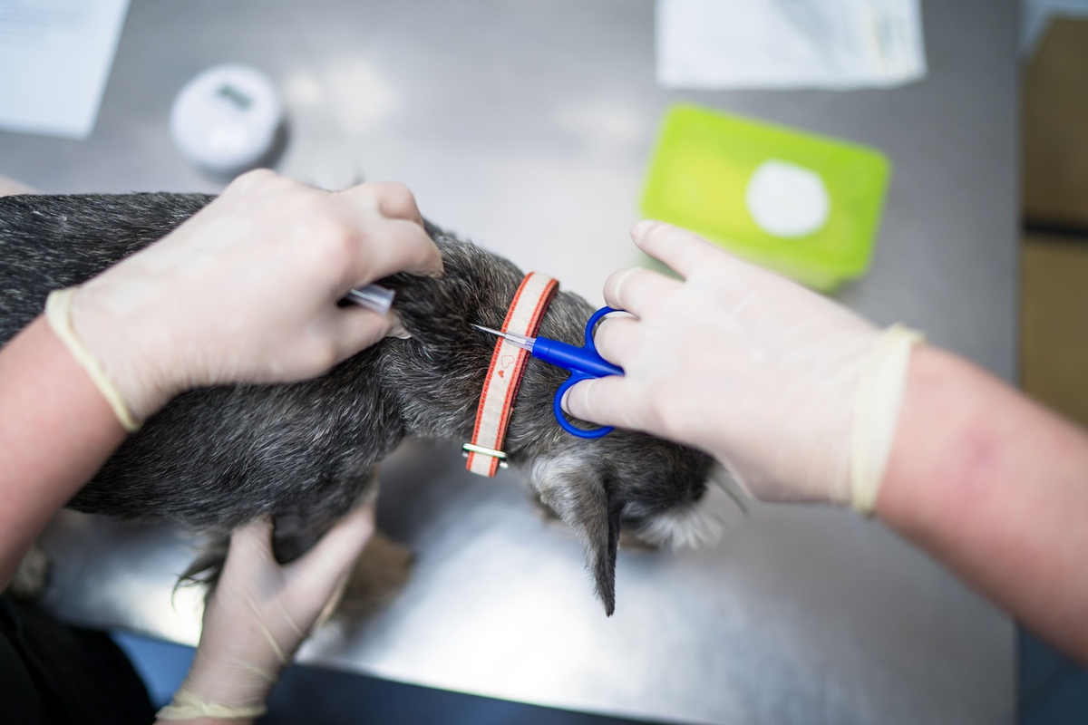 Фото: Александр Плонский / «ВиЖ»