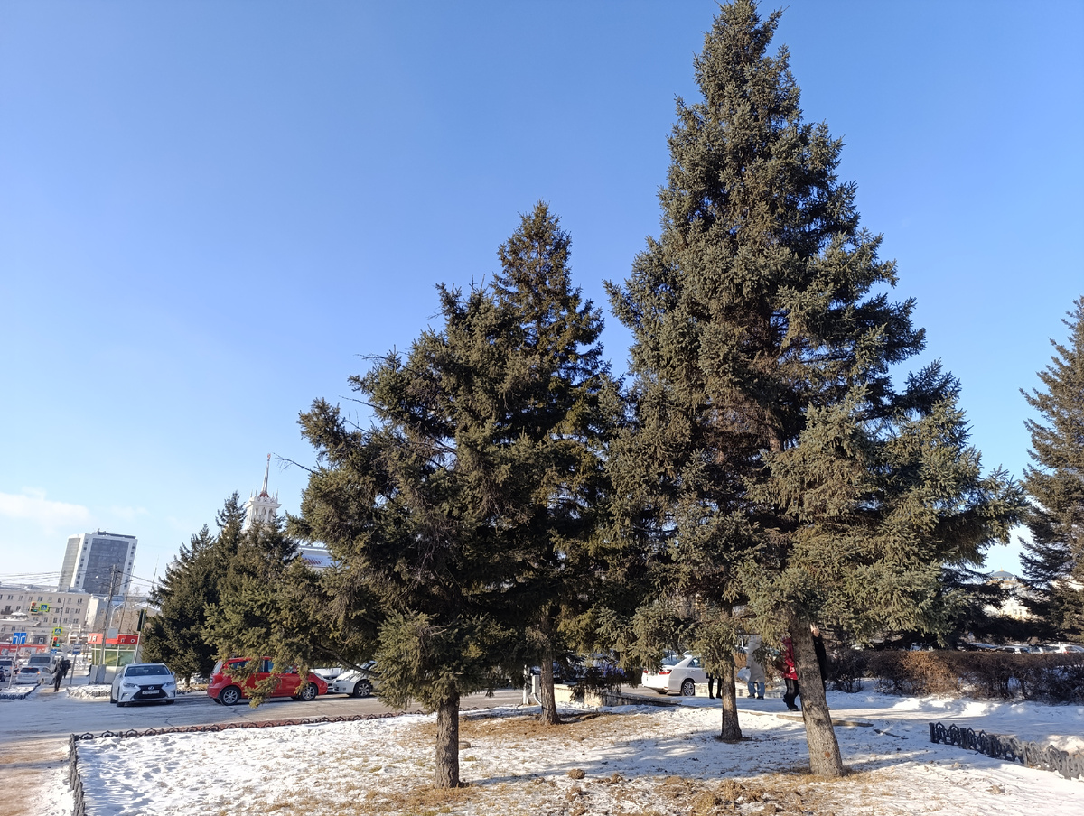 В городе. Площадь Советов