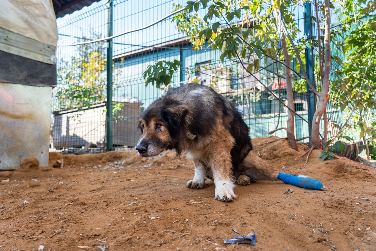 Фото: Александр Плонский / «ВиЖ»