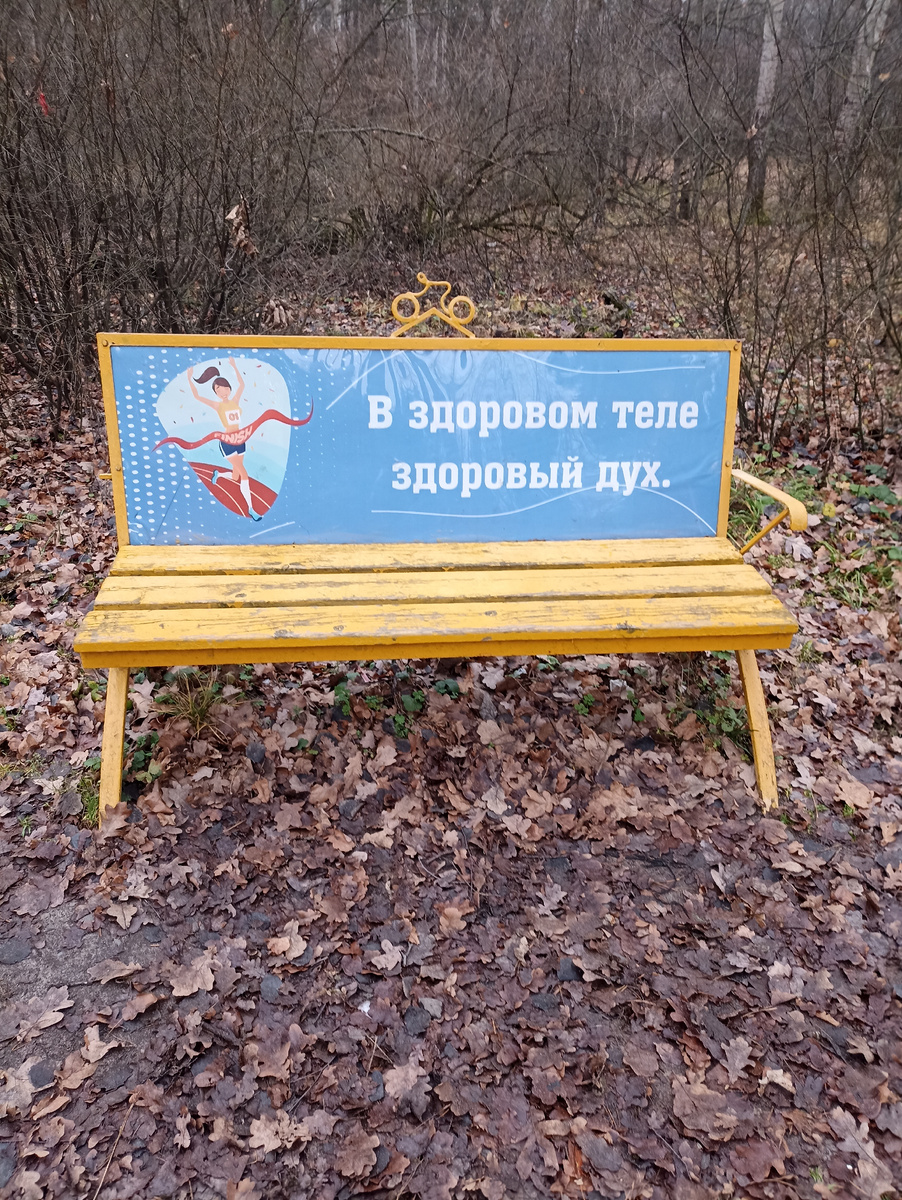 Раз скамейка