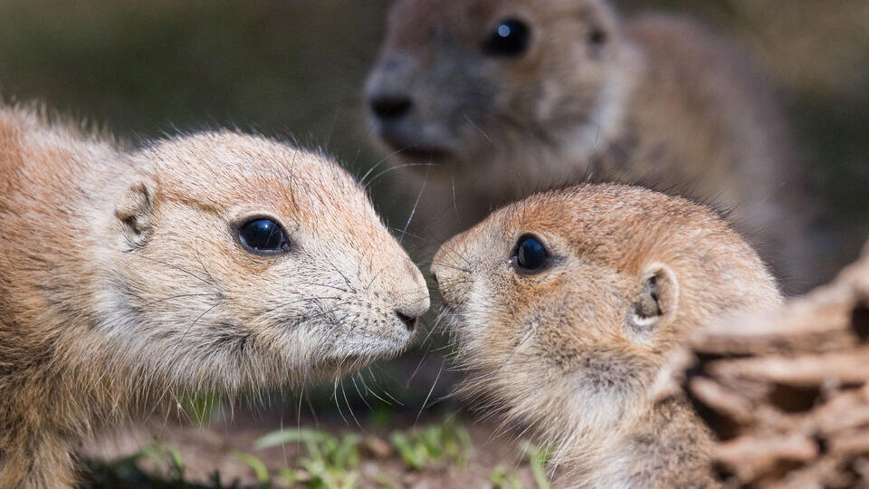 ФОТО: Julian Stratenschulte/dpa/picture-alliance/TASS