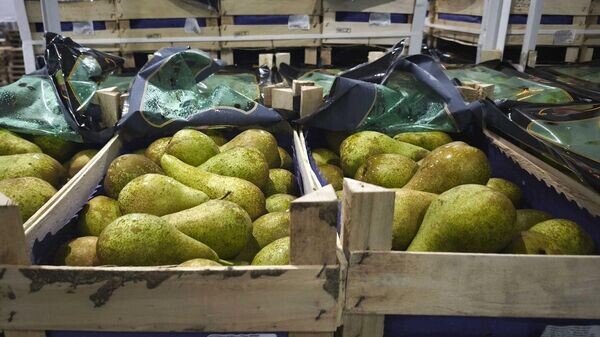    © ГТК Беларуси