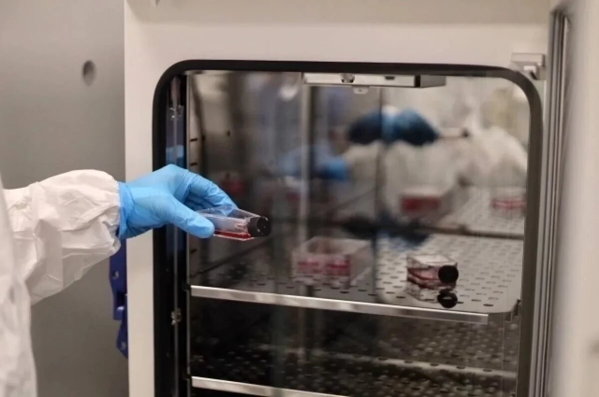    Обнинск укрепляет статус центра медицинских инноваций России