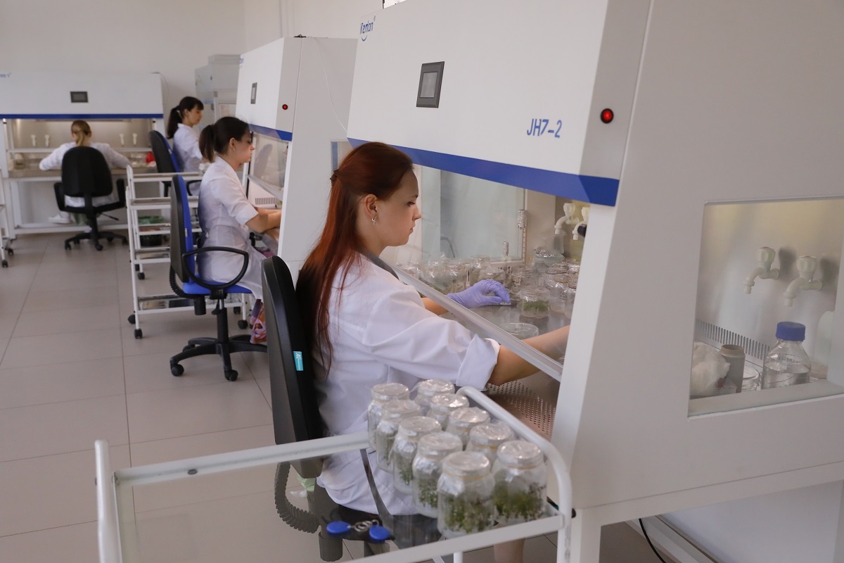    Разработки нижегородских студентов охватывают важные стратегические сферы