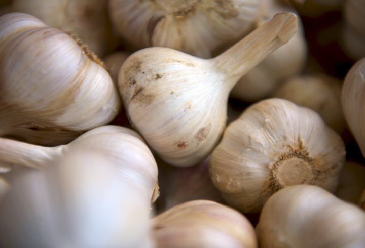 фото: pxhere.com