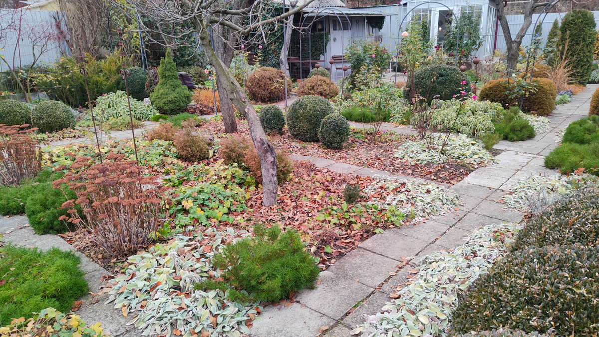 01.12.2025 г. Мои садовые пути-дорожки.