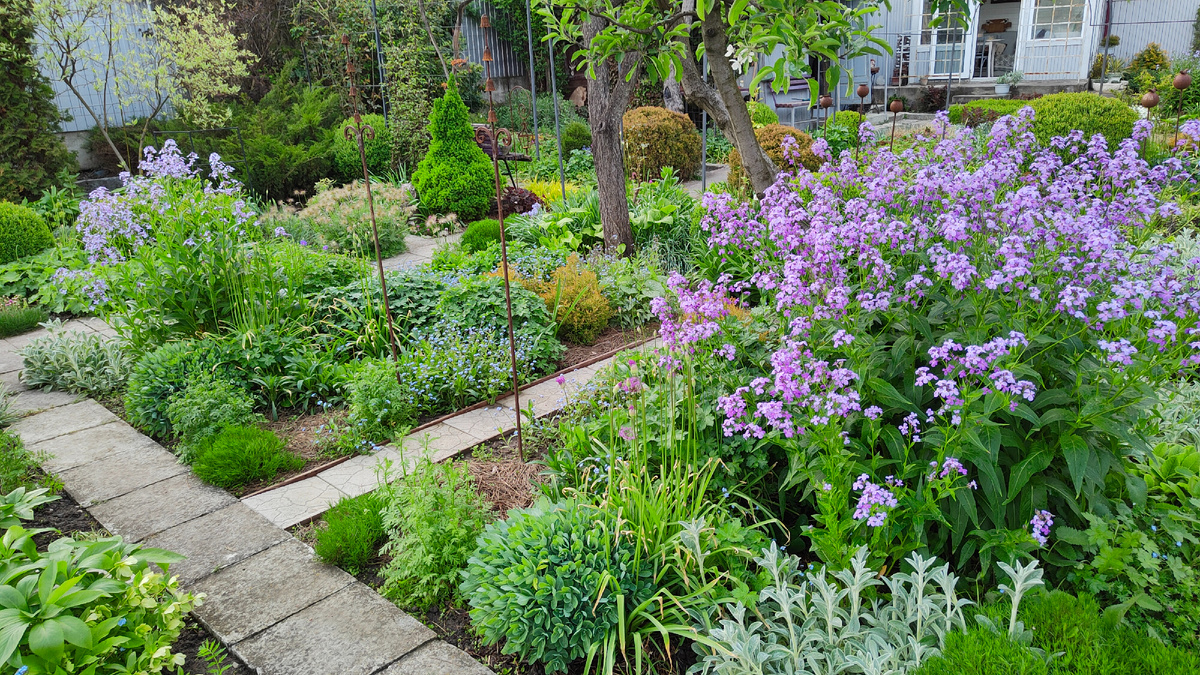 06.05.2025 г. То же место, но узнать трудно, ориентир ёлочка и домик вдали фото.