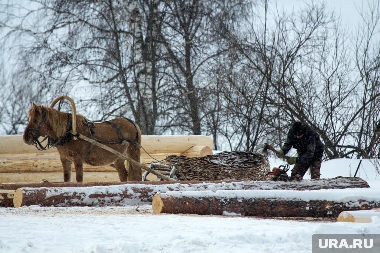 Наши предки в этот день готовились к зиме и ухаживали за скотом

Фото: Илья Московец © URA.RU