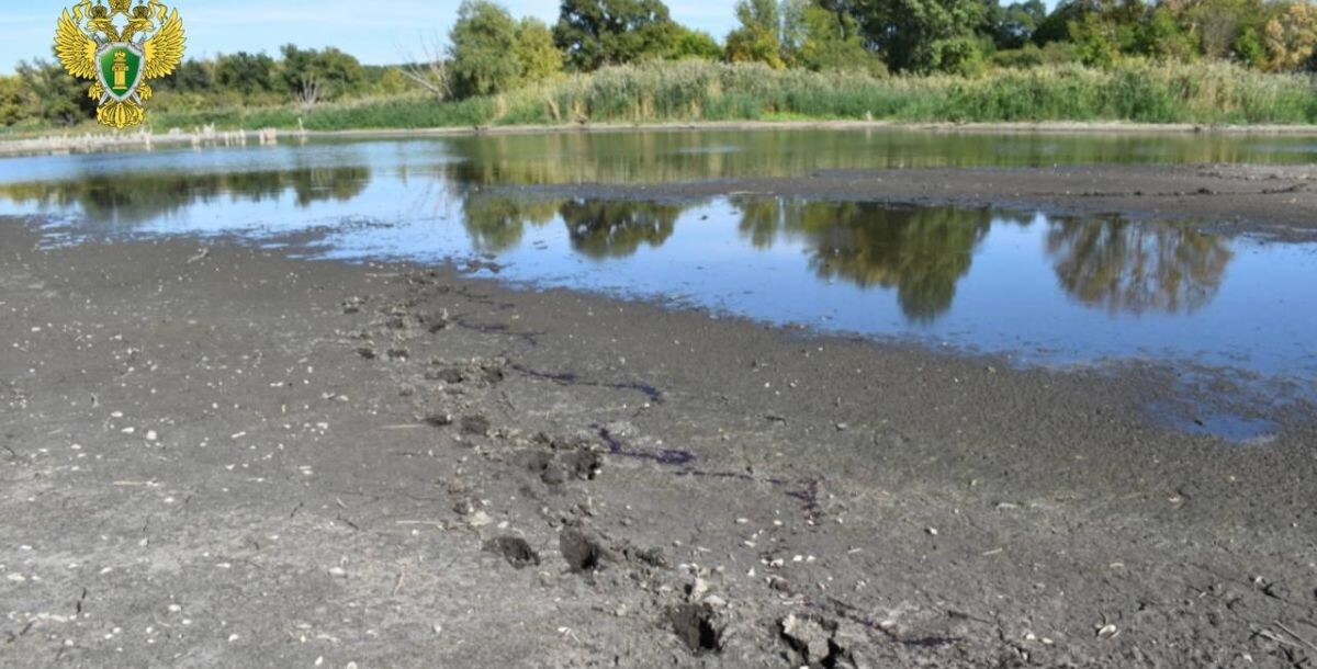 Злоумышленник застрелил двух особей, причинив ущерб на 160 тыс. рублей