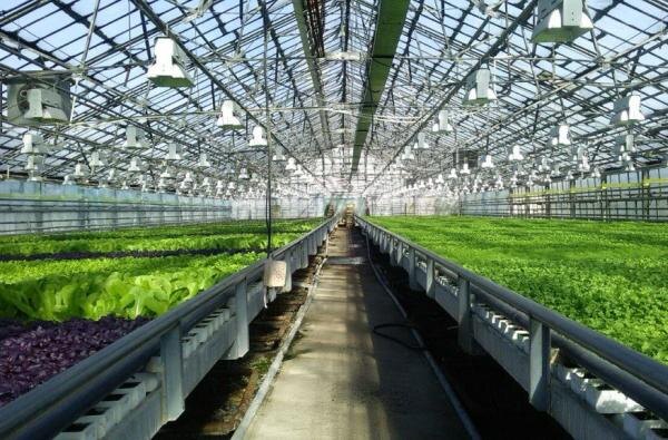    Фото сайта Минсельхоза РФ admin