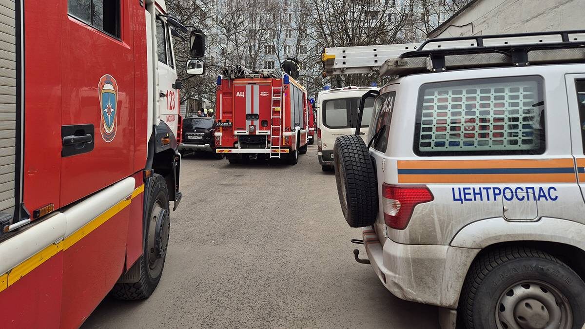    Фото: Денис Воронин / АГН Москва