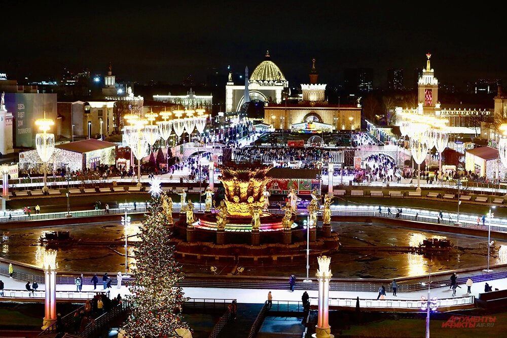    Торжественное открытие катка ВДНХ. Фото: АиФ/ Игорь Харитонов