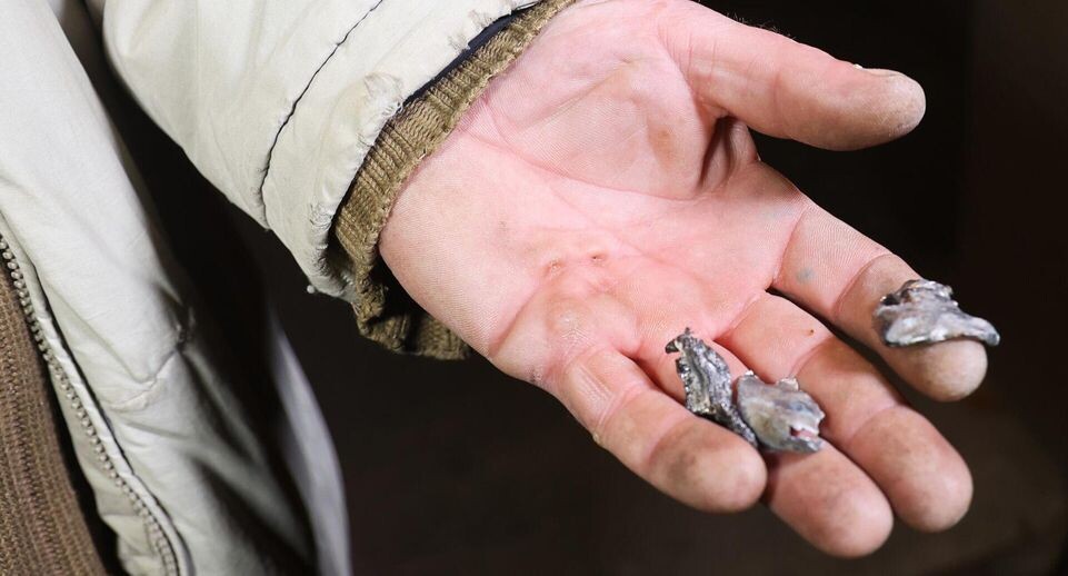    РИА «Новости»