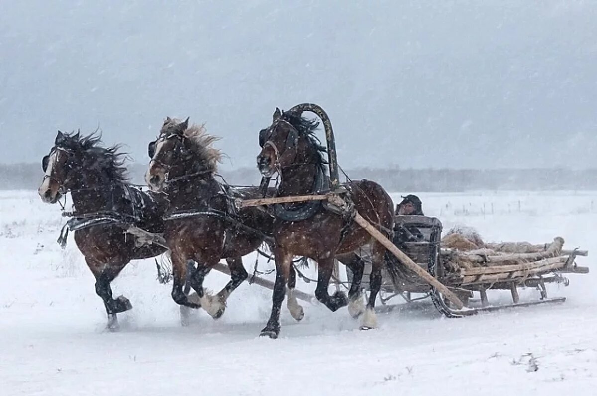    Иначе уйдет благополучие!