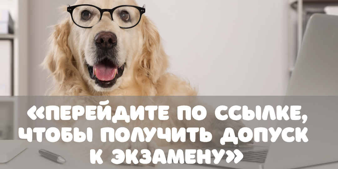 «Я думал, что меня отчисляют. А оказалось — просто воруют доступ к телефону»