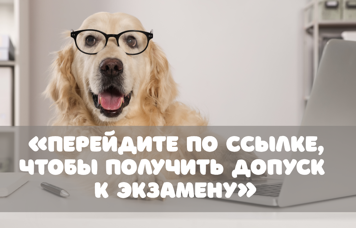 Фото: New Africa / Shutterstock