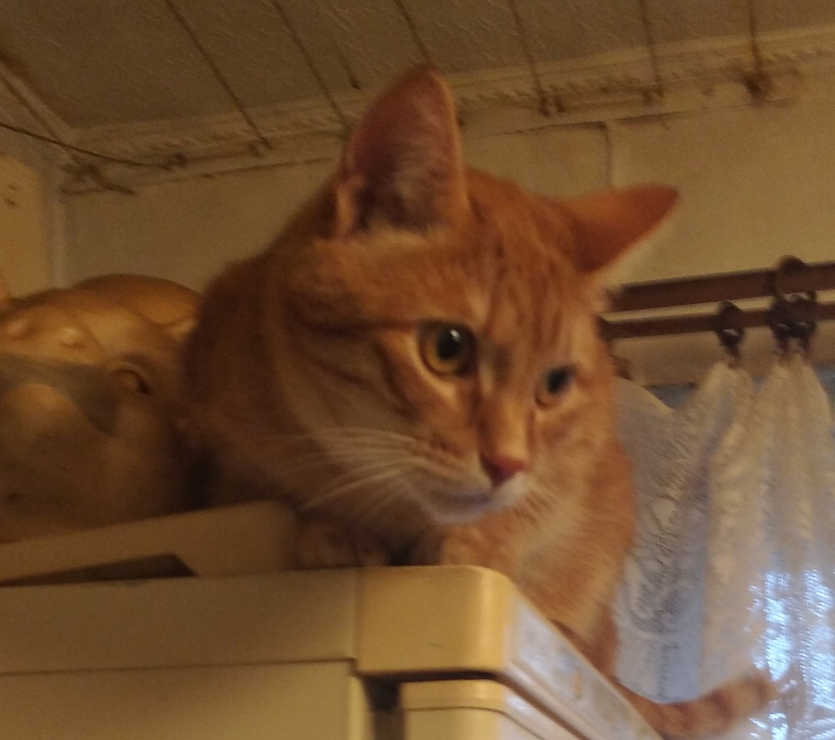 Личное фото 