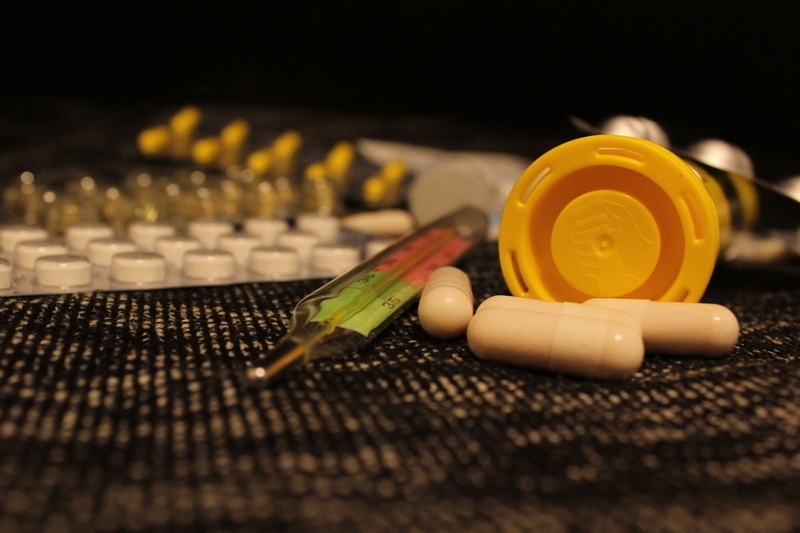    фото: © Столица на Онего