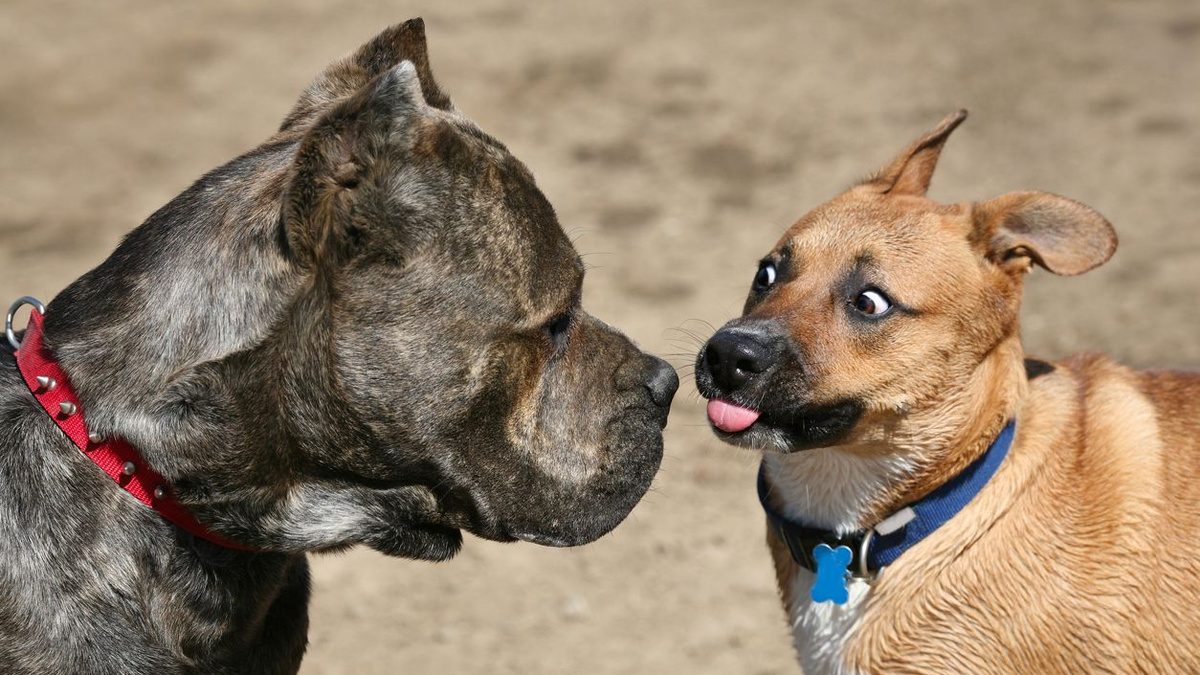 Без предрасположенности такого рода страхи как правило надолго не задерживаются. Фото Skyhobo/iStock