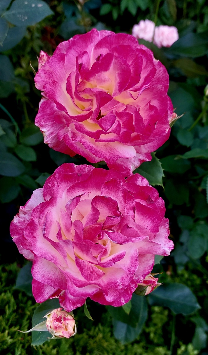 Кто-нибудь, отберите у нее косметичку!)