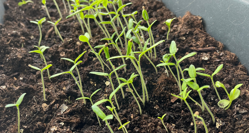    Фото из архива "ПроГорода"