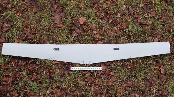    © Telegram / МВД Беларуси